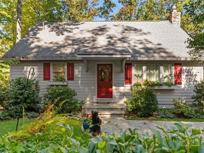 123 Pine Tree Drive