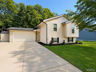 45 Chip Dr
