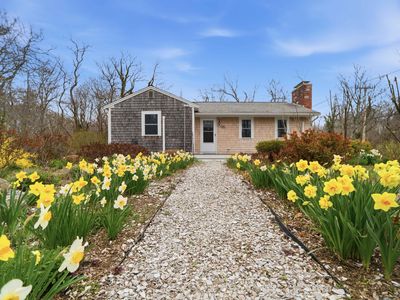 26 Locust Road