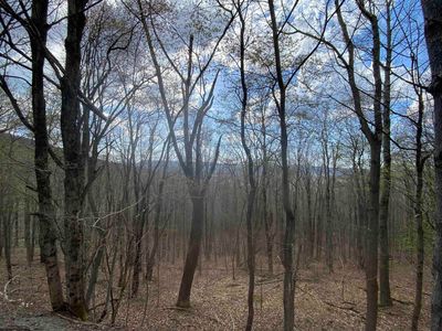 Property at 31 Mountainside Rd LOT 31, Davis, WV