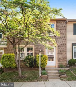 8339 Bark Tree Ct