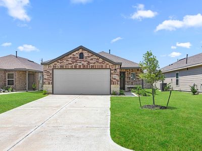 25431 Blue Mistflower Dr