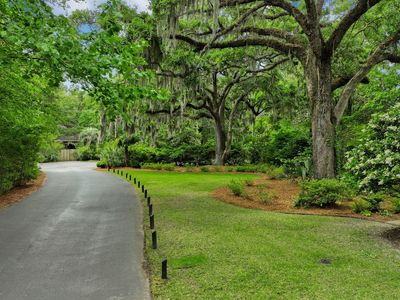 619 Beaten Path