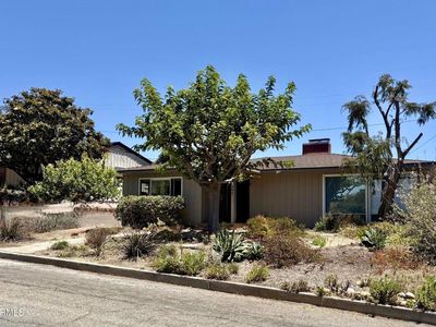 364 Carol Dr
