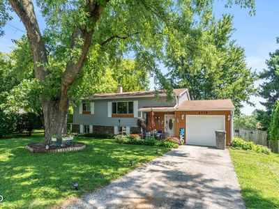 4519 Rainbow Ct