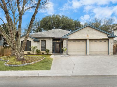 5951 Spring Buck