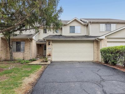 2056 Yellow Daisy Ct