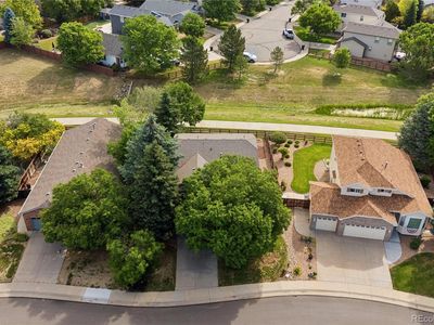 13224 Ivy Court