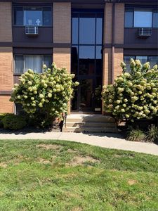 10 Oakwood Terrace #115