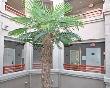 280 Caldecott Ln Unit 221