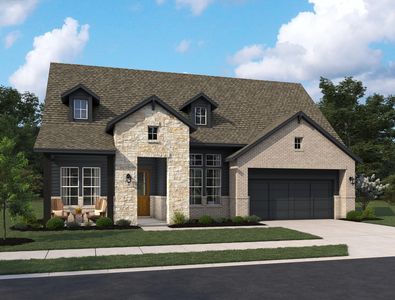 Bellevue Plan, Aster Park