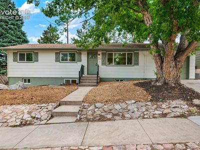402 Elmwood Dr