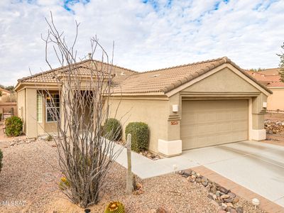 13497 N Holly Grape Dr