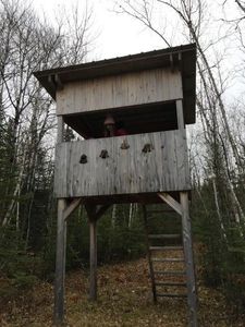 Property at Tbd Gappa Rd, Kabetogama, MN