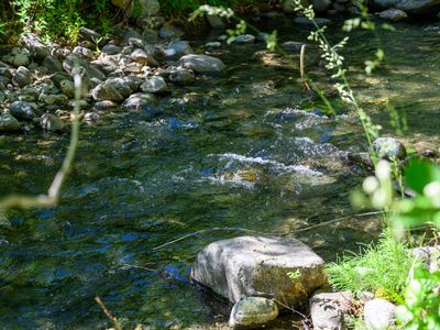 Property at 181 Meadow Rd, Weaverville, CA