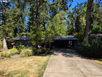 19922 White Cloud Cir