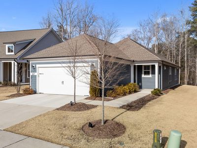 1617 American Beech St