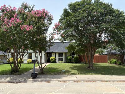 1513 Chisolm Trl