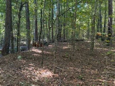297 Burg Rd