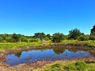 24729 County Road 310