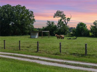 11043 County Road 336