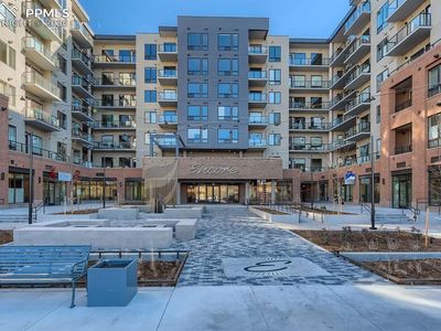 20 Wilcox St #316
