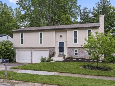 6488 Woodthrush Dr