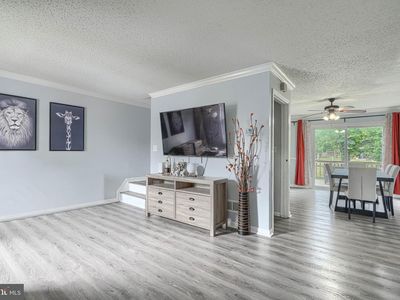 3633 Torey Ln