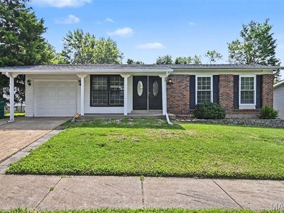 11748 Vizcuya Ct