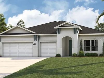 324 STETSON RISE COURT