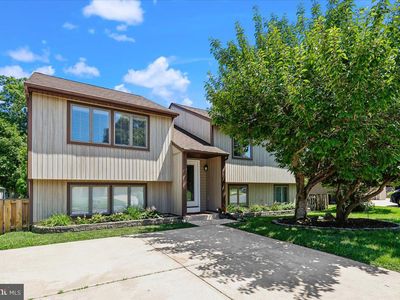146 Holly Cir
