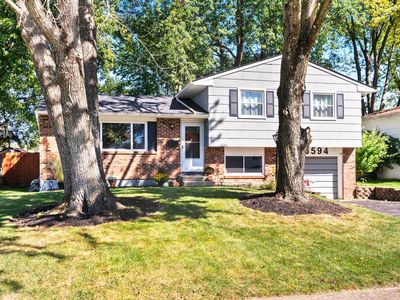 3594 Carthage Ct