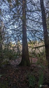 Property at 0 Lackey Road NW, Vaughn, WA