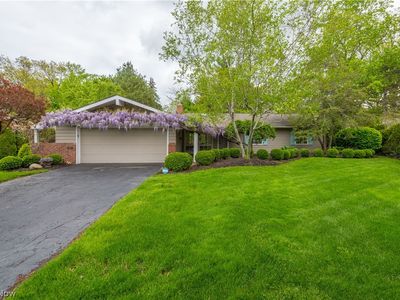 505 Wildbrook Dr