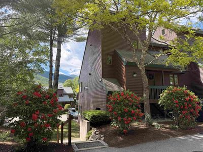 3 Pine Tree Way #40