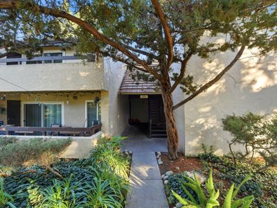 285 Tradewinds Dr APT 6