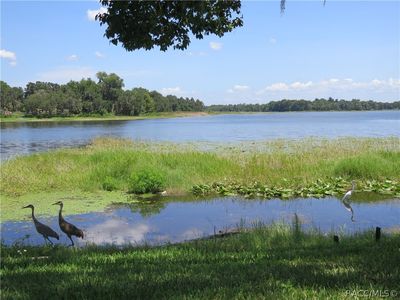Property at 4014 E Lake Park Dr, Hernando, FL