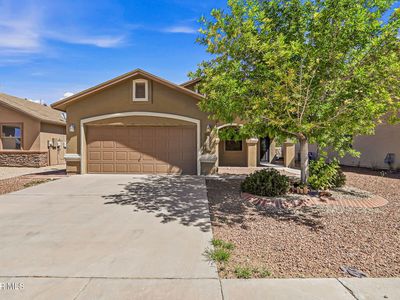 12569 Wolf Berry Dr