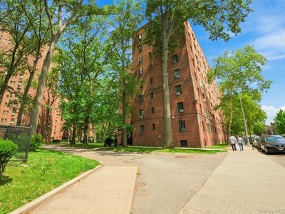 2049 McGraw Avenue #4F