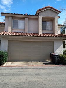 38 Carnation
