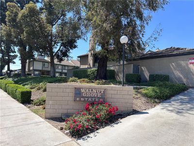 586 Diamond Ct