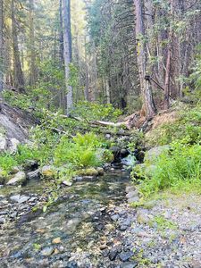 Property at 3050 Water Way, Clio, CA
