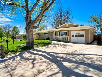 240 Davie Dr