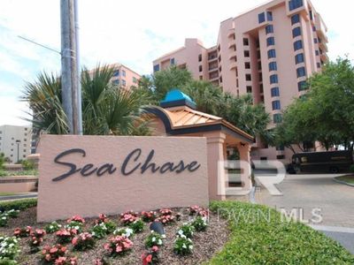 25240 Perdido Beach Blvd APT 1104C