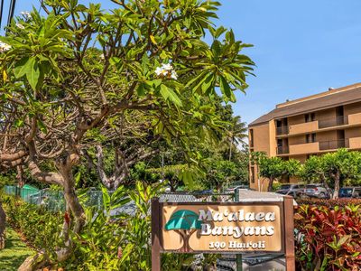 190 Hauoli St APT 412