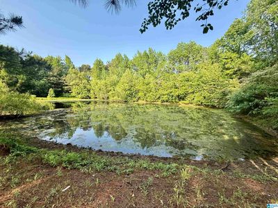 Property at 151 Friendship Rd, Altoona, AL