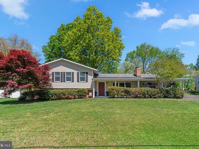 804 Olive Dr