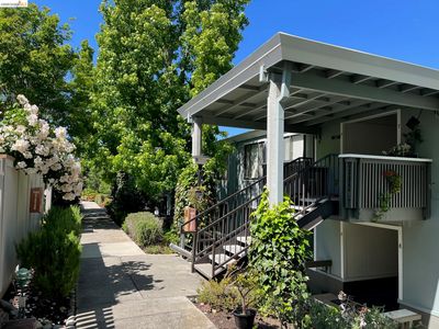 1156 Running Springs Rd APT 6
