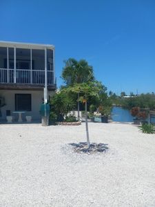 251 Pelican Ln