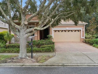 103 FLAME VINE WAY